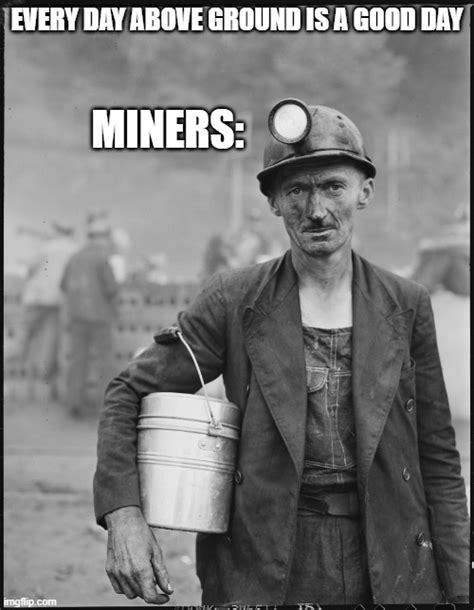 Meme Miner .